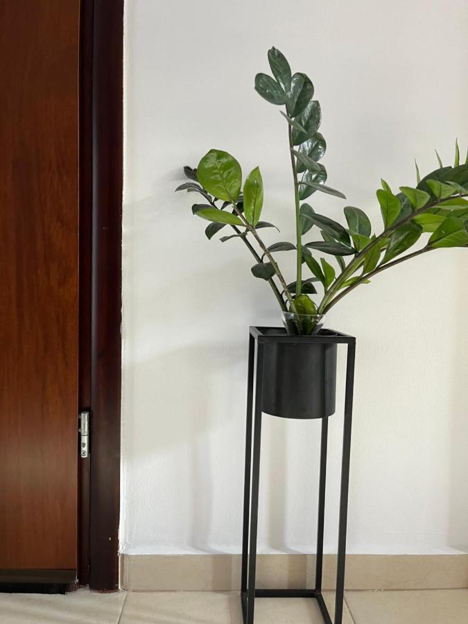 Seaside Cozy Apartment Agia  Bagian luar foto